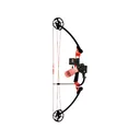 AMS Blaze Hooligan V2 Pro Bowfishing Bow Package Left 50 lb - Ams