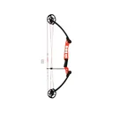 AMS Blaze Hooligan V2 Bowfishing Bow Right Left 50 lb - Ams