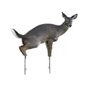 Montana Decoy Estrus Betty Deer Decoy - Montana Decoy