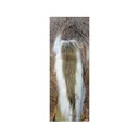 Montana Decoy Teaser Tail Deer Decoy - Montana Decoy