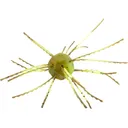 Strike King Tumbleweed Floating Dice Bait Summer Craw - Strike King