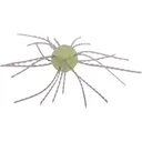 Strike King Tumbleweed Floating Dice Bait Lemon Drop - Strike King