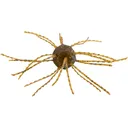 Strike King Tumbleweed Floating Dice Bait Smallmouth Candy - Strike King