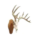 Foggy Bottom Woodworks European Mount Display Cherry - Foggy Bottom Woodworks