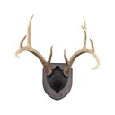 Foggy Bottom Woodworks Antler Mounting Kit Rustic Pine - Foggy Bottom Woodworks