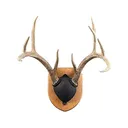 Foggy Bottom Woodworks Antler Mounting Kit Cherry - Foggy Bottom Woodworks