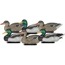 Dakota Decoys X-treme Packable Mallard Duck Decoys Painted Heads 6PK - Dakota Decoy