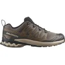 Salomon XA Pro 3D V9 Hiking Shoes Synthetic Falcon/Desert Tan/Black Men's 13 D - Salomon