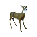 Flambeau Masters Series Boss Babe Doe Deer Decoy Polymer - Flambeau