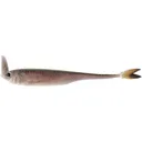 6th Sense Masterclass Strobe Shaker 5" Swimbait Live Minnow - 6Th Sense