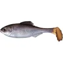 6th Sense Masterclass Panorama Swimbait 2.3" Swimbait Live Shad - 6Th Sense