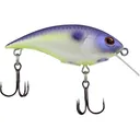Berkley Shallow Money Badger 2.1" 1/4 oz Crankbait Purple Glimmer - Berkley