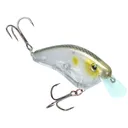 Strike King Hardliner 35 Crankbait Clearwater Minnow - Strike King