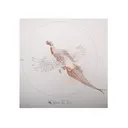 NRA Official Lifesize Game Target Pheasant Paper 25PK - Nra