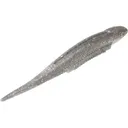 Strike King Spotlight Shim-E Minnow 3" Carolina Chrome - Strike King