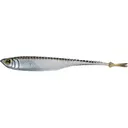 6th Sense Masterclass Crappie Strobe 2.1" Grub Smoke Flash - 6Th Sense