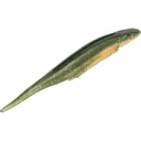 Strike King Spotlight Shim-E Minnow 3" The Real Gill - Strike King