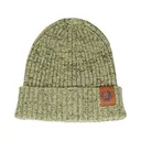 Fish Monkey Men's Wooly Beanie Ribbed Green One Size Fits Most - Fish Monkey