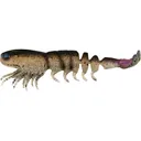 Z-Man Prawn Starz Unrigged 3.5" Shrimp Natural Shrimp - Z-Man