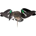 Avian X Powerflight Teal Replacement Wings - Avian-X