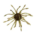 Yamamoto Uni 16mm Urchin #297 NF/Large Green Purple - Yamamoto