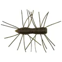 Z-Man Fuzzy Bugz 1.75" Creature Green Pumpkin - Z-Man