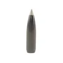 Combined Technology Ballistic Silvertip Hunting 30 Caliber (308 Diameter) Bullets 180 Grain Polymer Tip Box of 50 - Nosler
