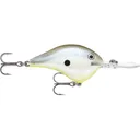 Rapala DT 12 Crankbait Disco Shad - Rapala