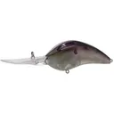 Bill Lewis DR 24 Crankbait Gizz Rizz - Bill Lewis