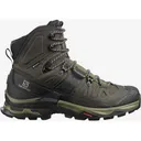 Salomon Men's Quest 4 GTX Waterproof Hiking Boots Leather/Synthetic Olive Night/Peat/Safari 12 D - Salomon