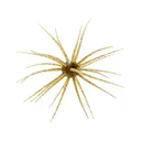 Hideup Coike 17mm Urchin Green Pumpkin Pepper/Blue Flake - Hideup