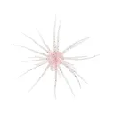 Hideup Coike 17mm Urchin Clear Salmon Pepper - Hideup