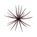 Hideup Coike 13mm Urchin Green Pumpkin - Hideup