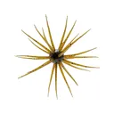 Hideup Coike 13mm Urchin Guripan Pepper/Blue Flake - Hideup