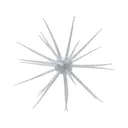Hideup Coike 13mm Urchin Tamaranbai Blue - Hideup