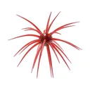 Hideup Coike 13mm Urchin Scuppernong - Hideup