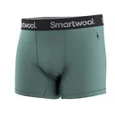 Smartwool Men's Active Boxer Briefs Dusty Teal Medium - Smartwool