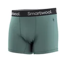 Smartwool Men's Active Boxer Briefs Dusty Teal Large - Smartwool