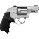 Diamondback SDR-A 38 Special Revolver 2" Glass Beaded Barrel 6 Round Black Grip - Diamondback Firearms