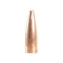 Speer 22 Caliber (224 Diameter) Bullets 55 Grain Total Metal Jacket Box of 100 - Speer