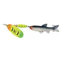 Mepps Comet Mino Inline Spinner 4" with Shad Mino Hot Firetiger Blade 1/2 oz - Mepps