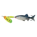 Mepps Comet MX Mino Inline Spinner with Shad Mino Hot Firetiger Blade 13/16 oz - Mepps