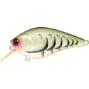 Lucky Craft LC 2.5 Square Bill Crankbait Crazy Green Craw - Lucky Craft