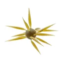 Hideup Coike Fish Elastomer Large Urchin Watermelon - Hideup