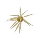 Hideup Coike Fish Elastomer Large Urchin Clear Wakasagi - Hideup