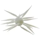Hideup Coike Fish Elastomer Large Urchin Tamaranbai Blue - Hideup