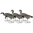 Dakota Decoys X-treme Lesser Canada Goose Decoys 6PK - Dakota Decoys