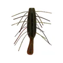 Yamamoto Fuzzy Nuki 2.5" Worm Dark Green Pumpkin/Amber Laminate - Yamamoto