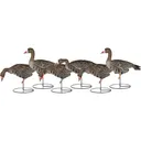 Dakota Decoys X-treme Specklebelly Goose Decoys 6PK - Dakota Decoys