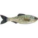 6th Sense Plump Panorama 5.0 Jerkbait Live Crappie - 6Th Sense